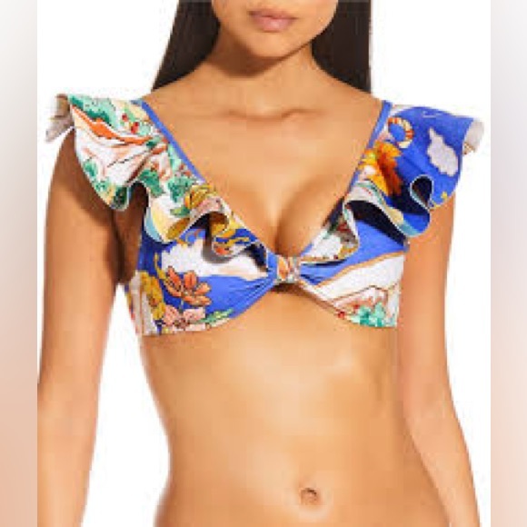 NWT Antonio Melani Map V-Neck
Bonded Ruffle Bralette Swimming top - Picture 1 of 2